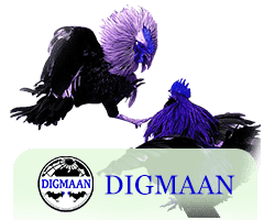 Digmaan